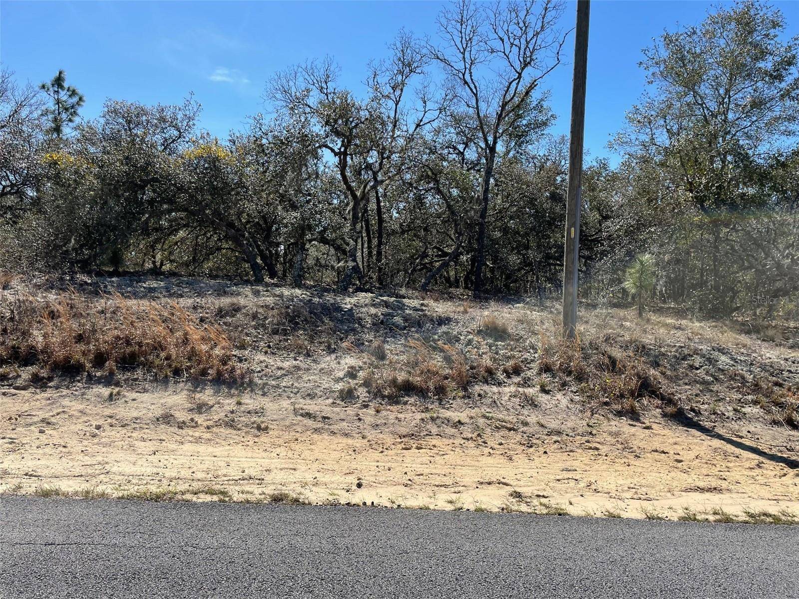 Dunnellon, FL 34431,LOTS 14 & 15 SW KEARNEY LN