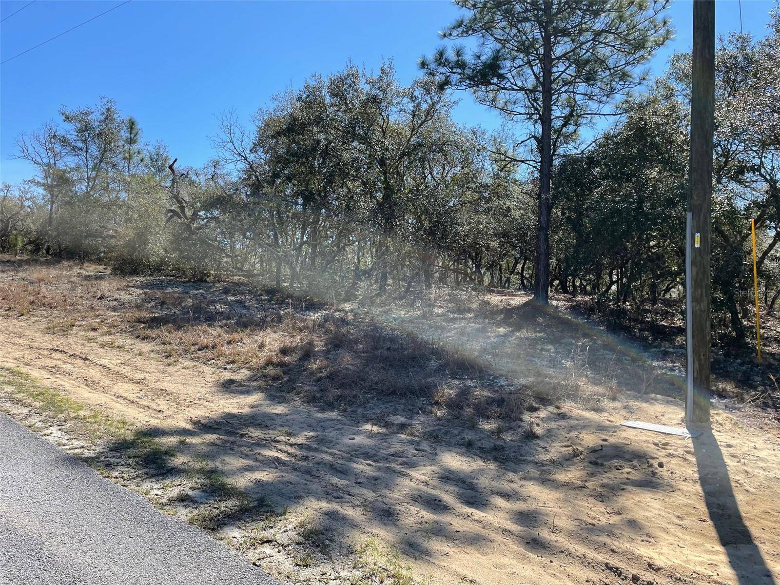 Dunnellon, FL 34431,LOTS 14 & 15 SW KEARNEY LN