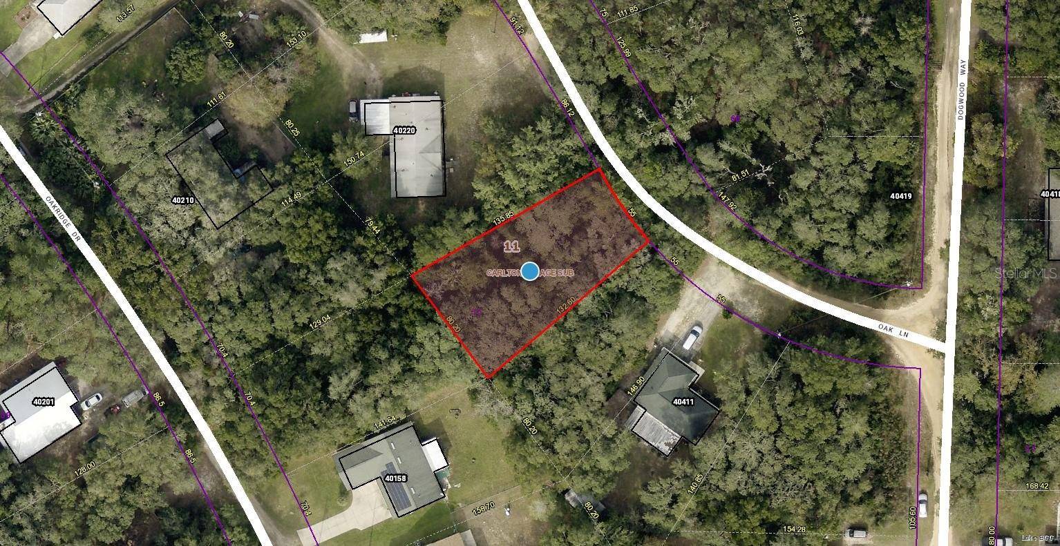 Lady Lake, FL 32159,TBD OAK LN