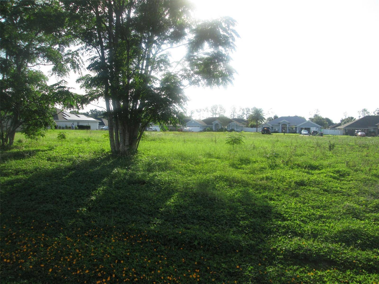 Belleview, FL 34420,TBD SE 68TH CT