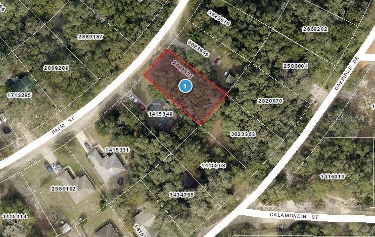 Lady Lake, FL 32159,PALM ST