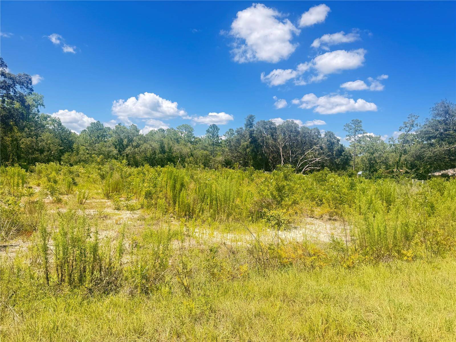 Dunnellon, FL 34432,TBD SW 91 LN