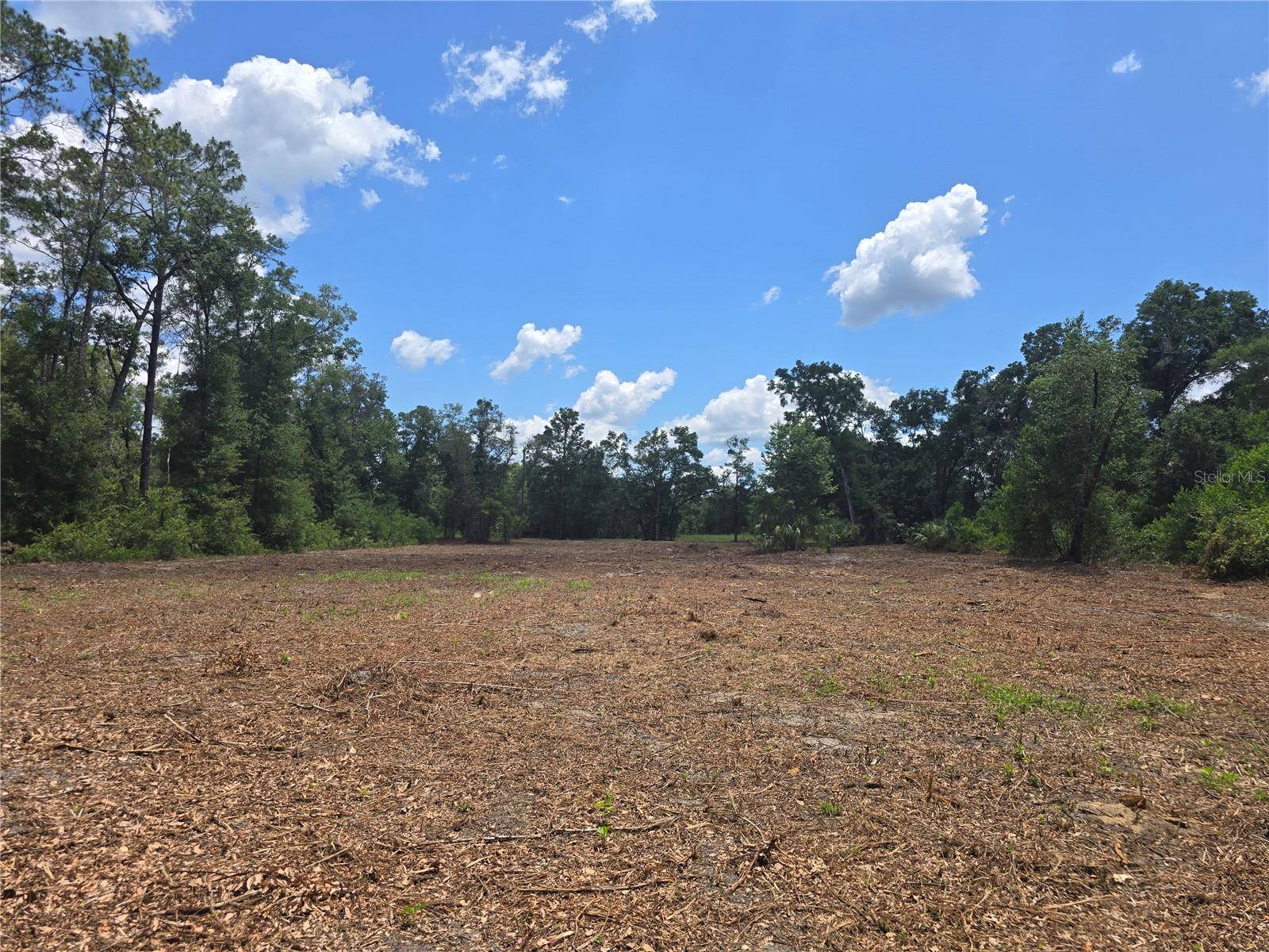 Hernando, FL 34442,7103 N LECANTO HWY
