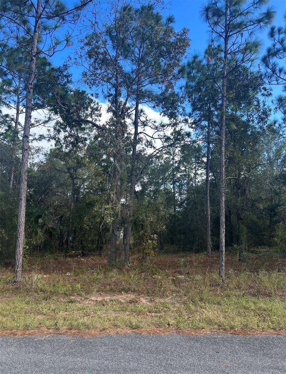 Ocala, FL 34472,TBD LOCUST LOOP PLACE LOT 7