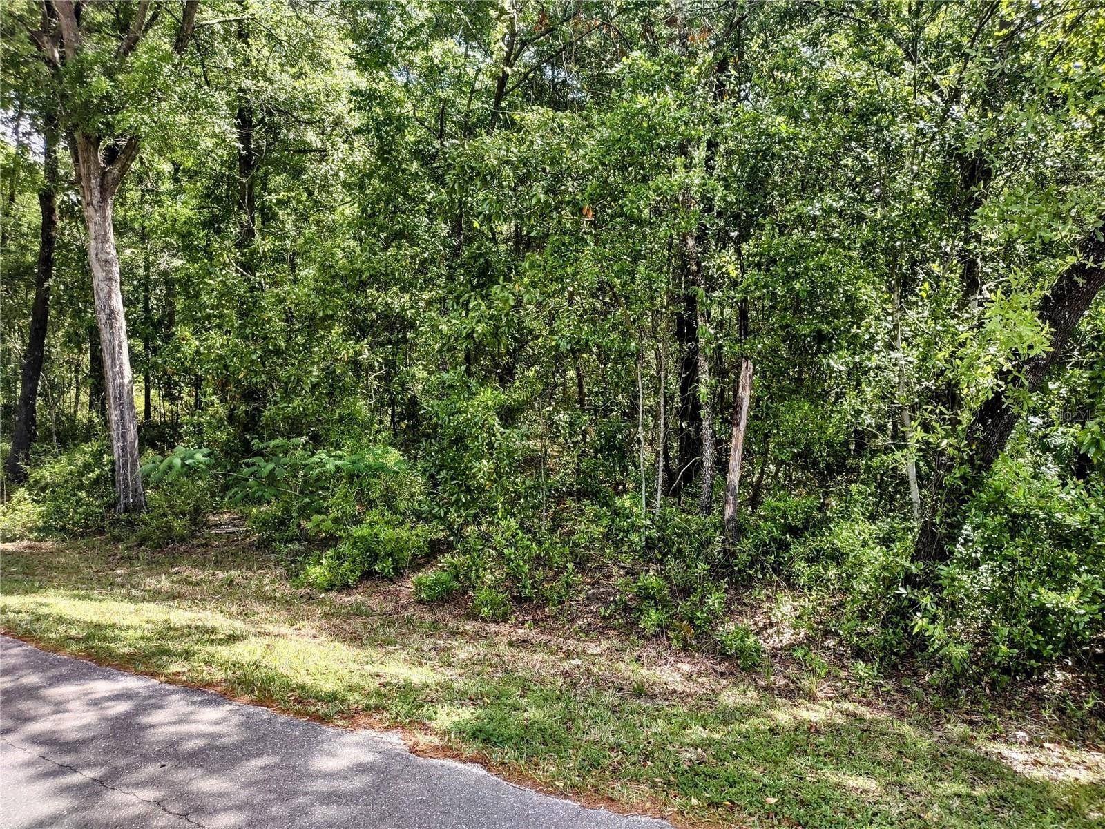 Williston, FL 32696,TBD NE 155TH CT