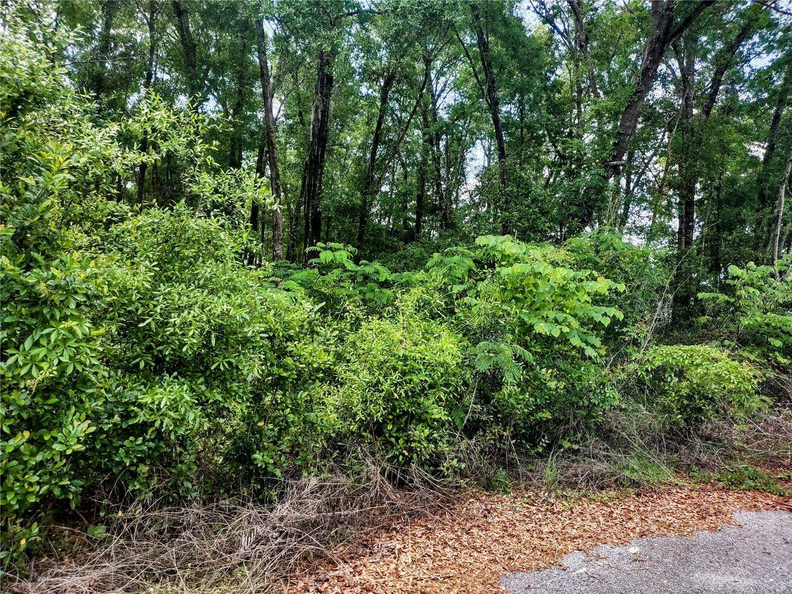 Williston, FL 32696,TBD NE 6TH CIR