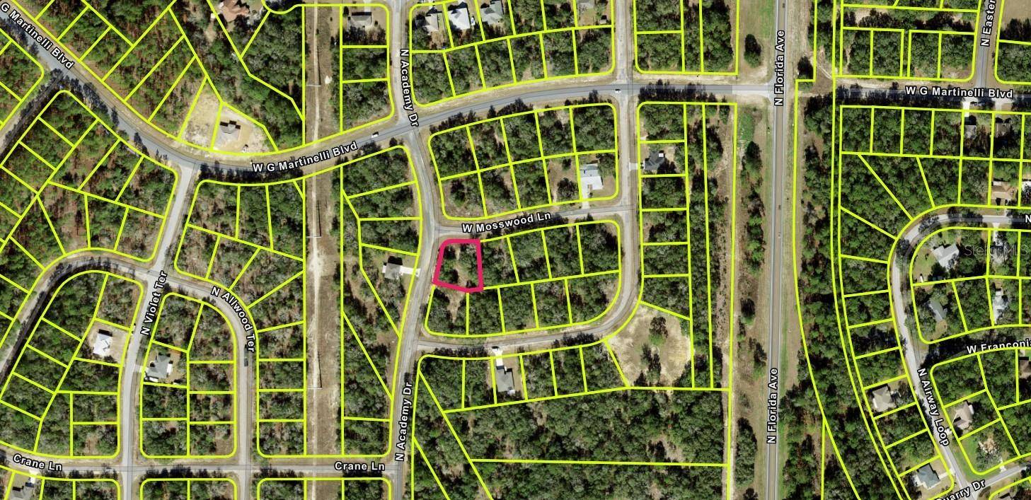 Citrus Springs, FL 34434,1425 W MOSSWOOD LN