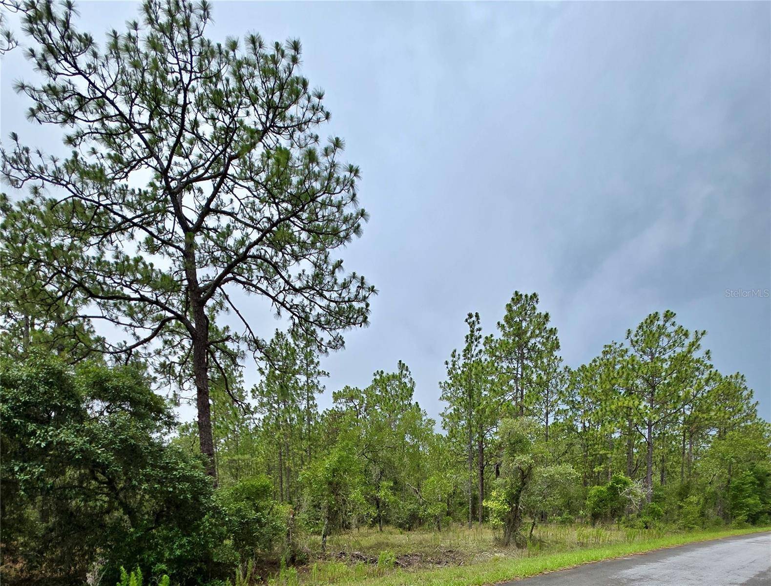 Dunnellon, FL 34431,0 NW WATER OAK AVE