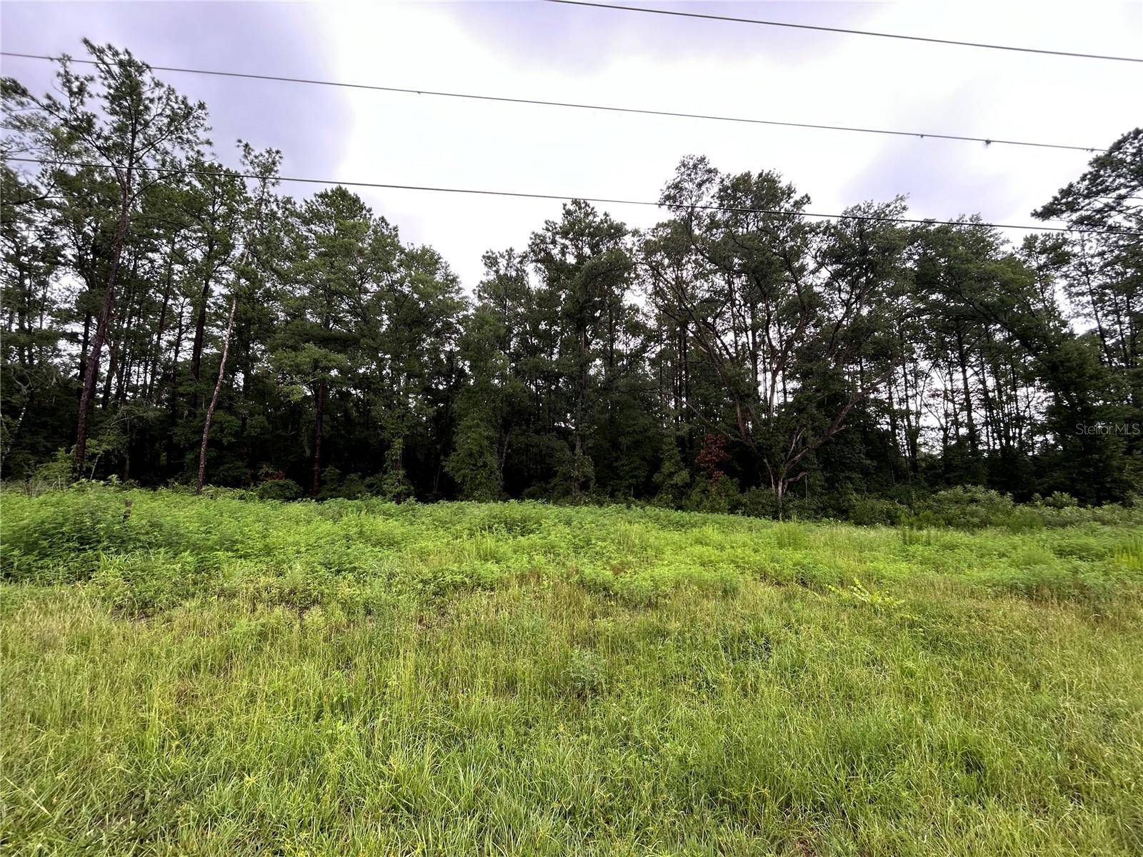 Williston, FL 32696,TBD NE HWY 27 ALT