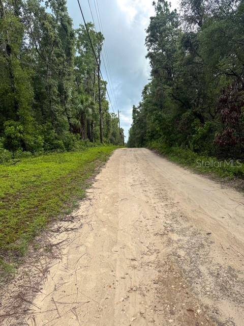 Chiefland, FL 32626,TBD NW 97 CT