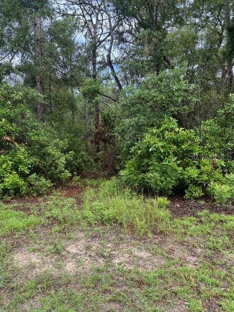 Chiefland, FL 32626,TBD NW 97 CT