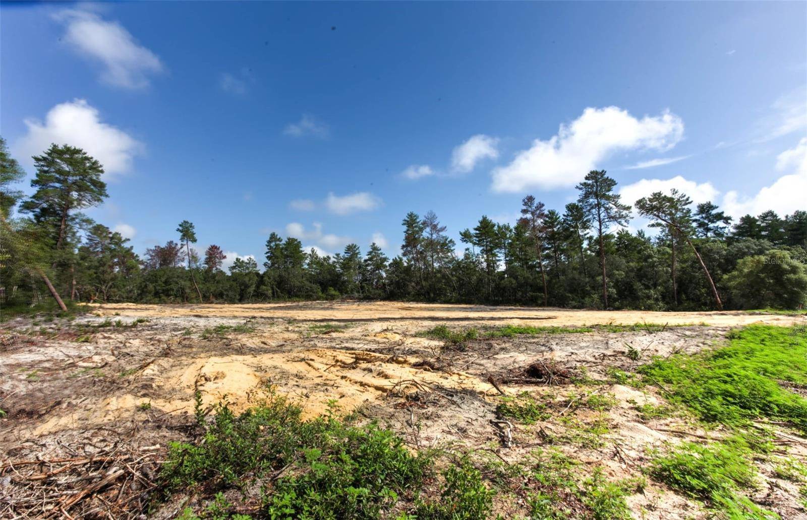 Ocala, FL 34473,TBD SW 32ND CIR
