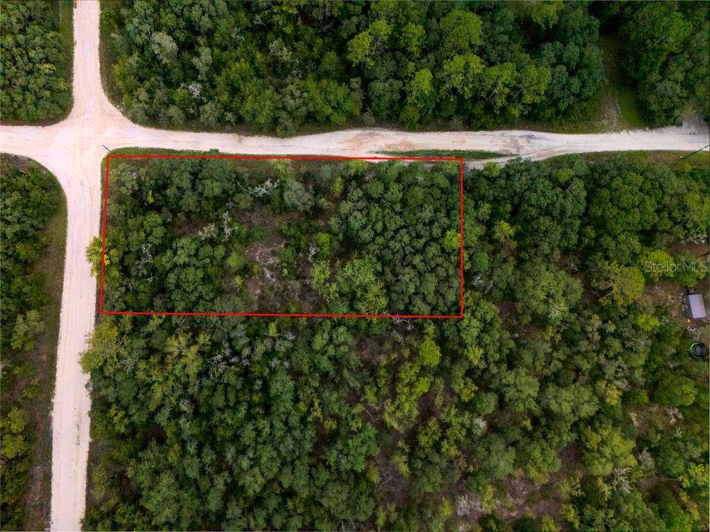 Bronson, FL 32621,00 NE 110 AVE