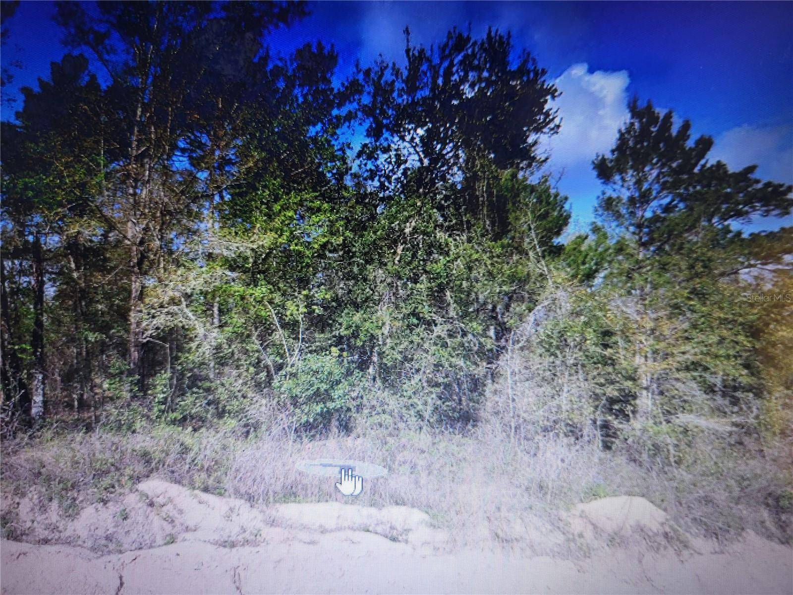 Interlachen, FL 32148,GREY