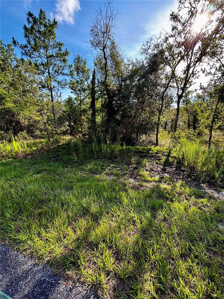 Dunnellon, FL 34431,Lot 24 SE 136 TER