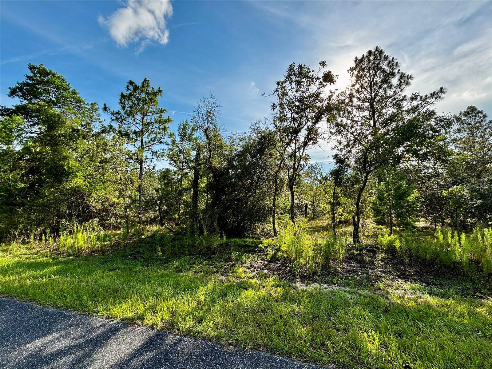 Dunnellon, FL 34431,Lot 24 SE 136 TER