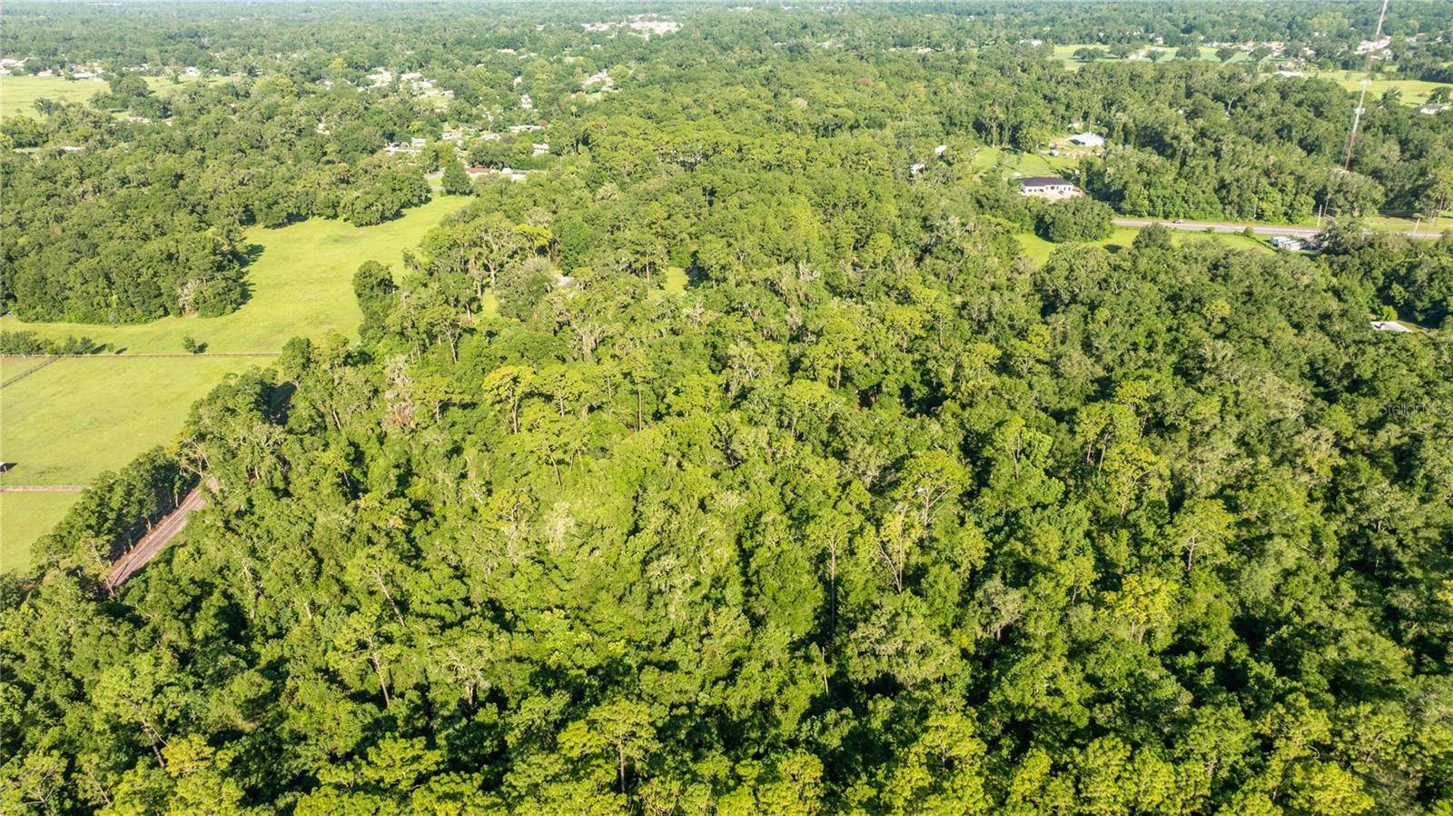 Ocala, FL 34479,4701 NE JACKSONVILLE RD