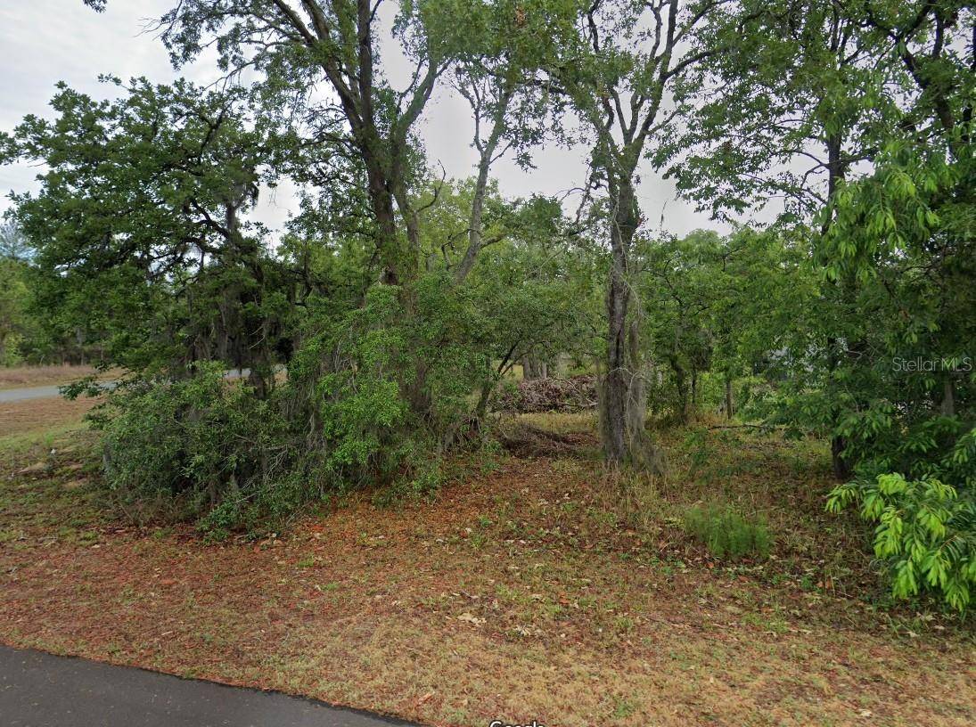 Homosassa, FL 34446,1 WOODASH CT