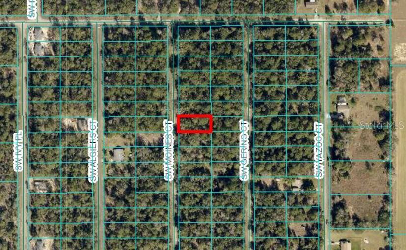 Dunnellon, FL 34431,TBD SW MOINES CT