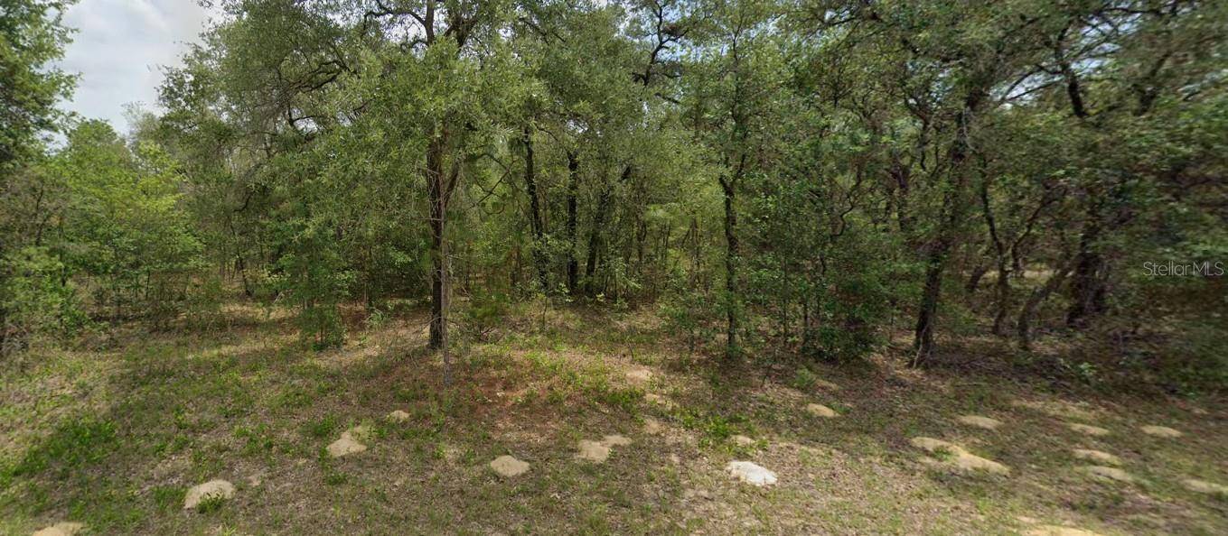 Citrus Springs, FL 34434,6455 N WHISPERING DR