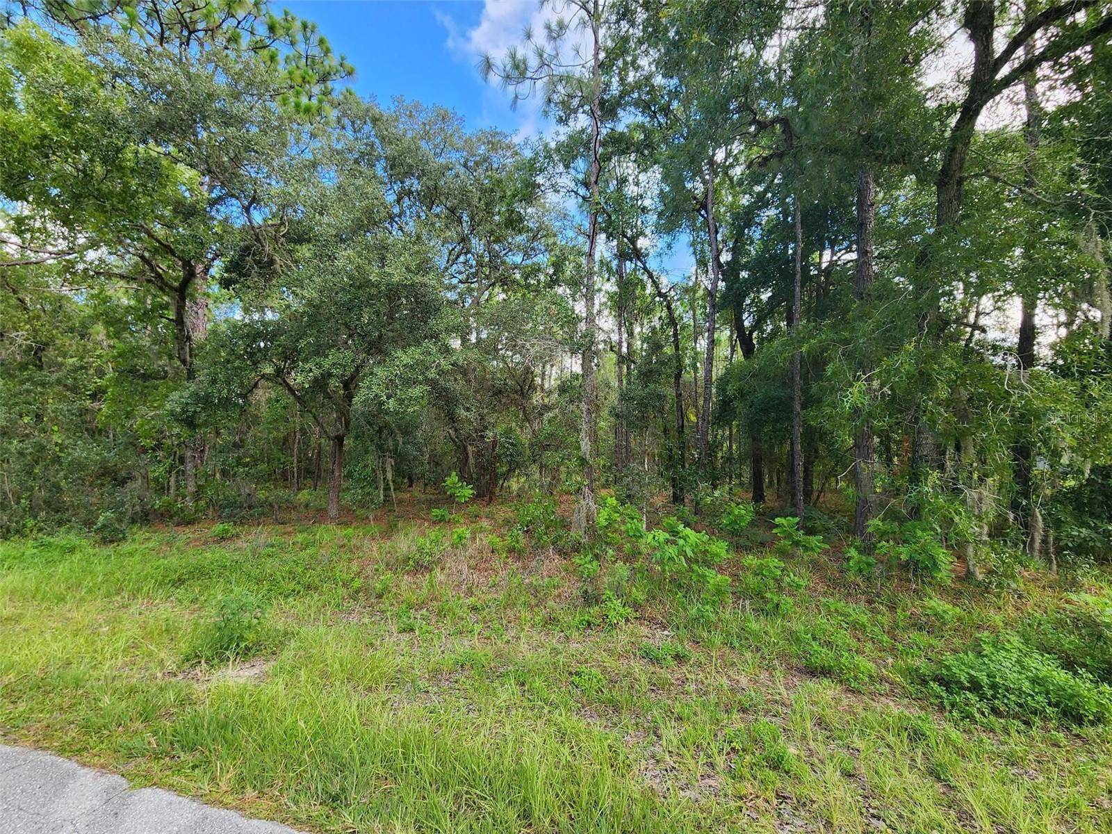 Hernando, FL 34442,579 W OLYMPIA ST