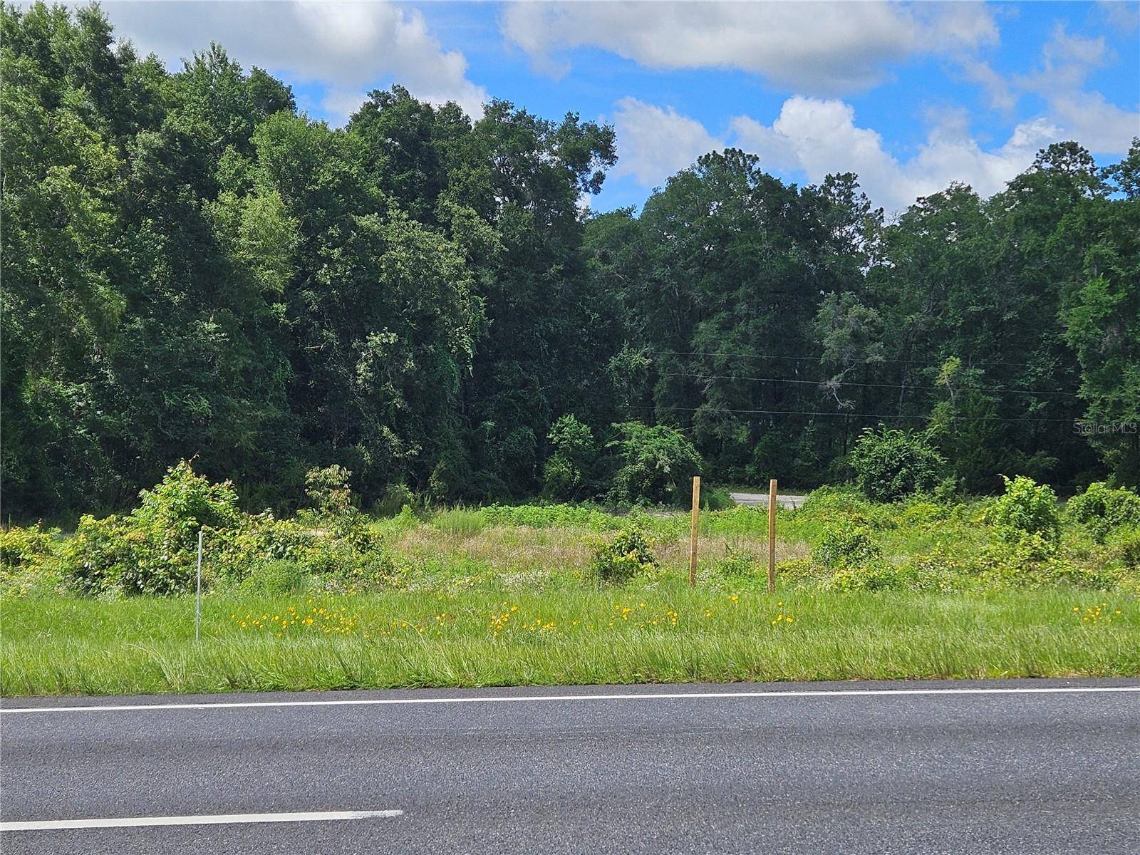 Williston, FL 32696,tbd NE HIGHWAY 27 ALT