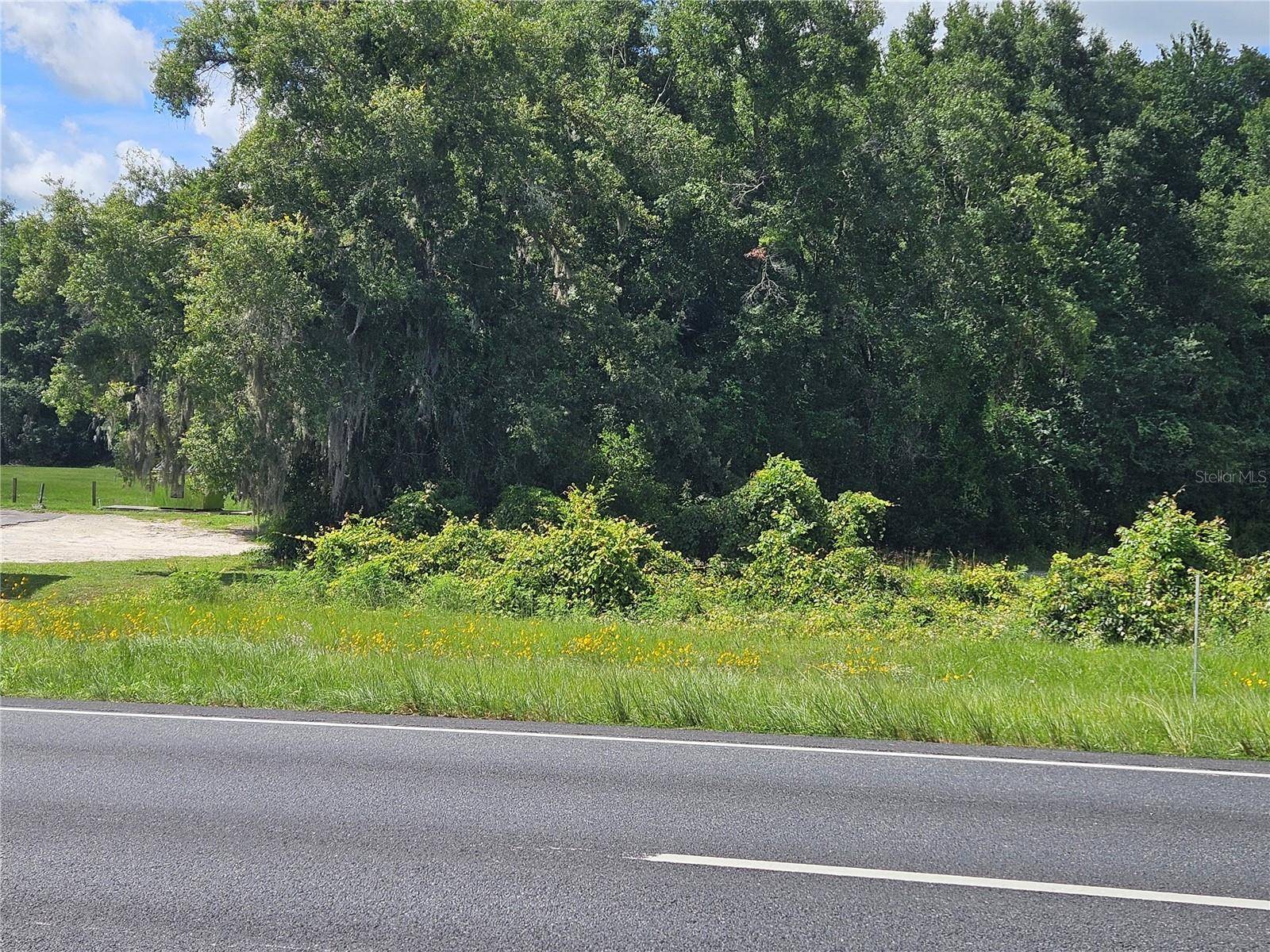 Williston, FL 32696,tbd NE HIGHWAY 27 ALT