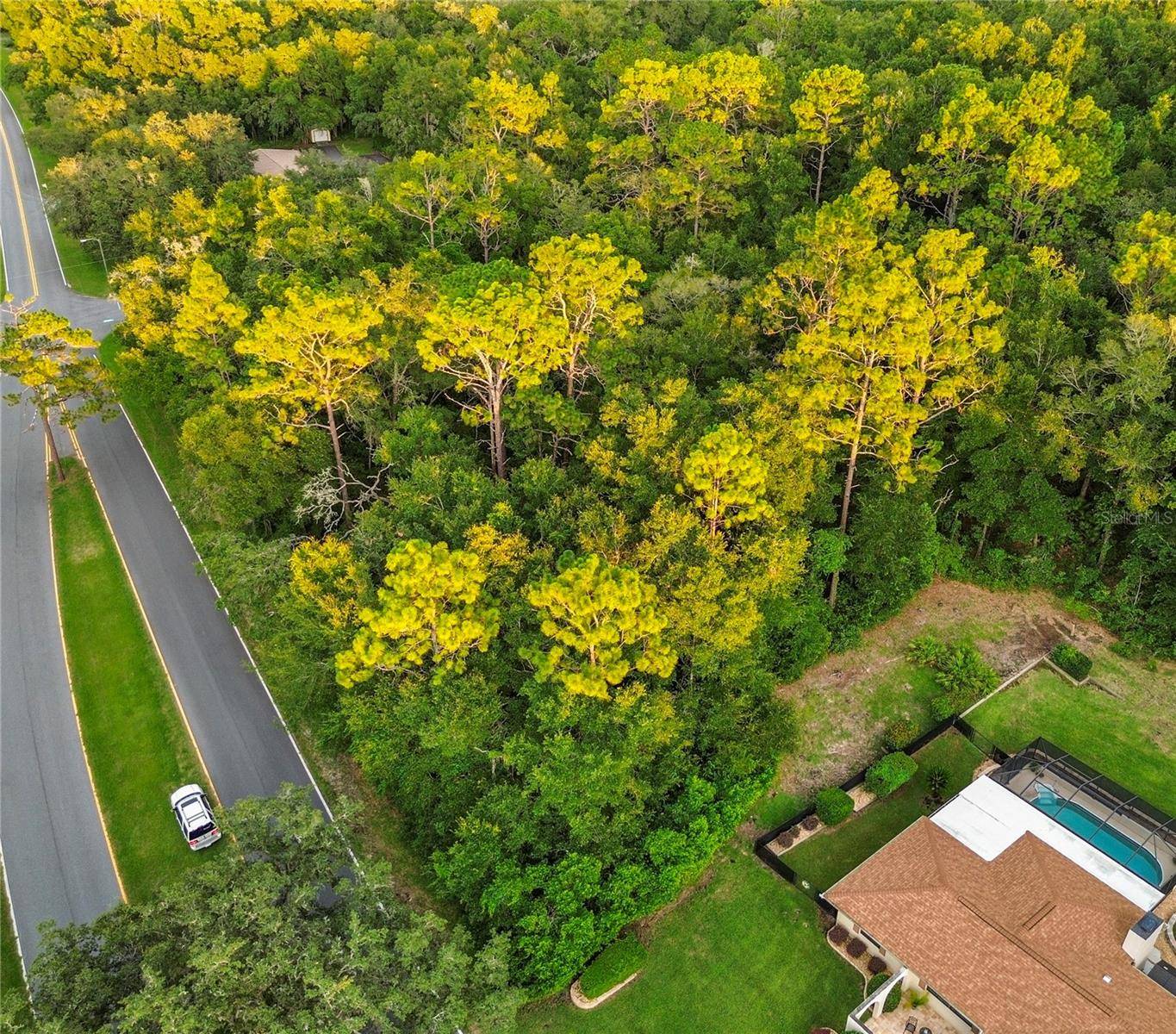 Citrus Springs, FL 34434,1974 W COUNTRY CLUB BLVD
