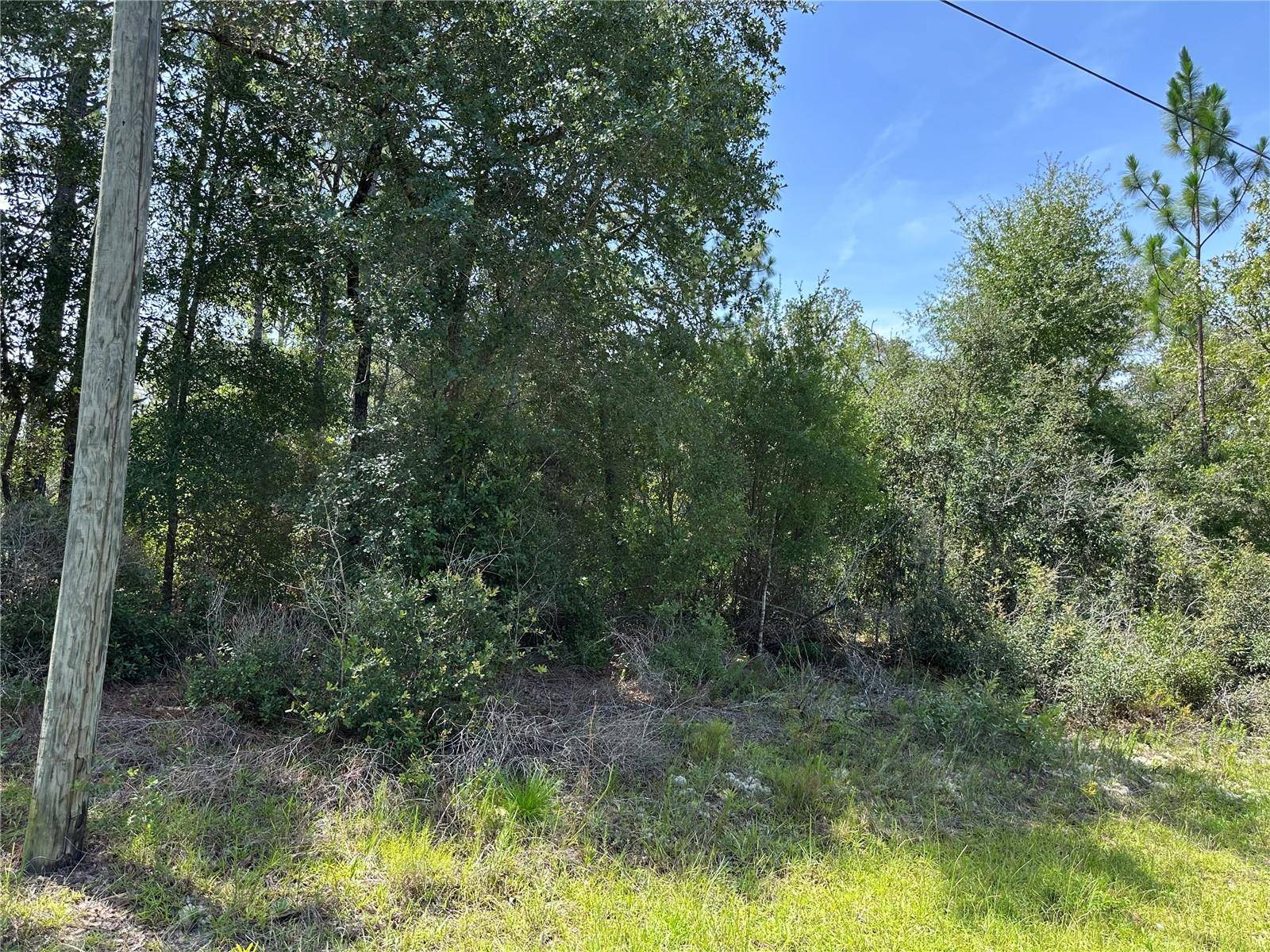 Citrus Springs, FL 34433,8547 N TROJAN DR