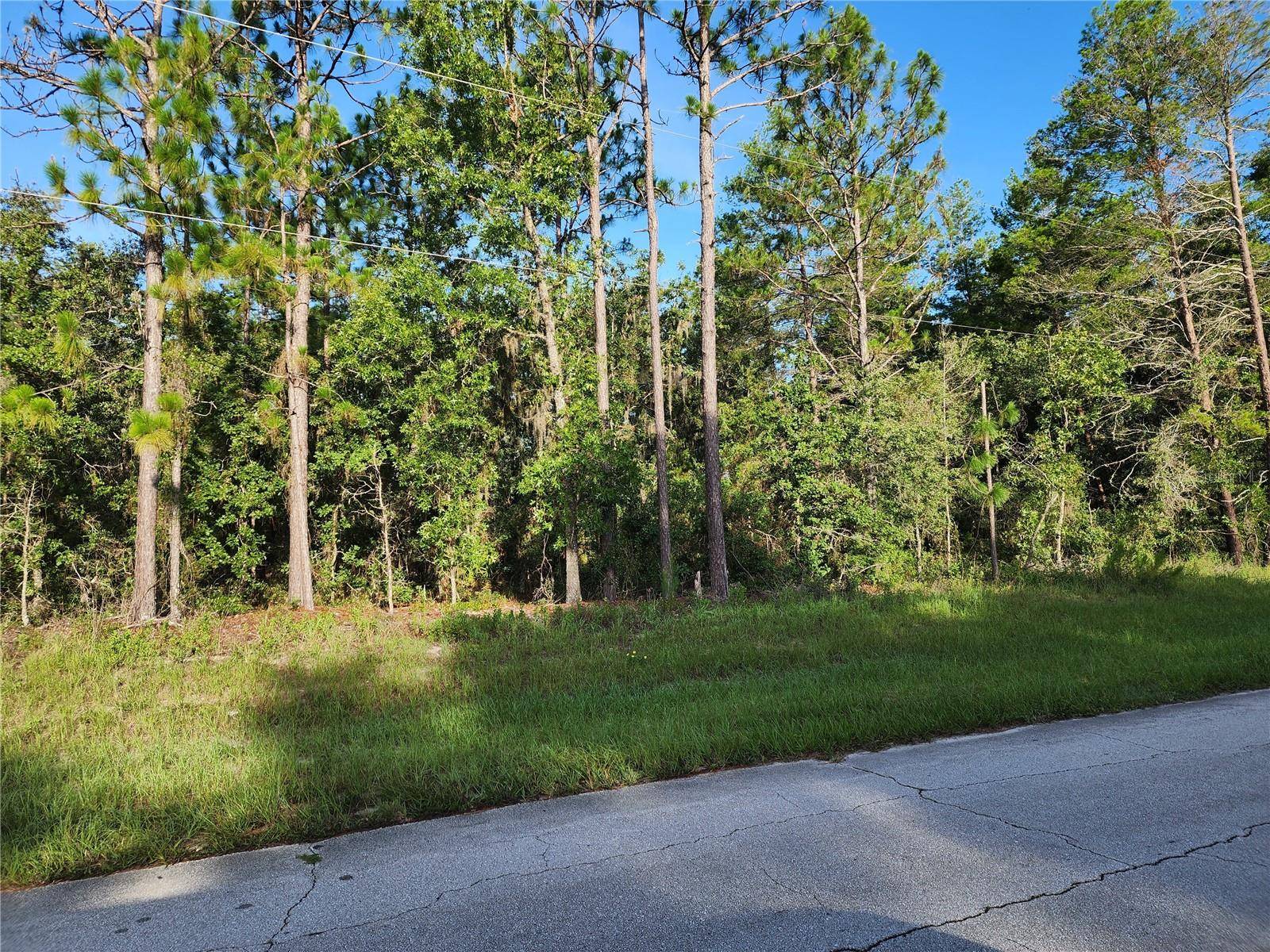 Ocala, FL 34473,TBD SW 35TH TER