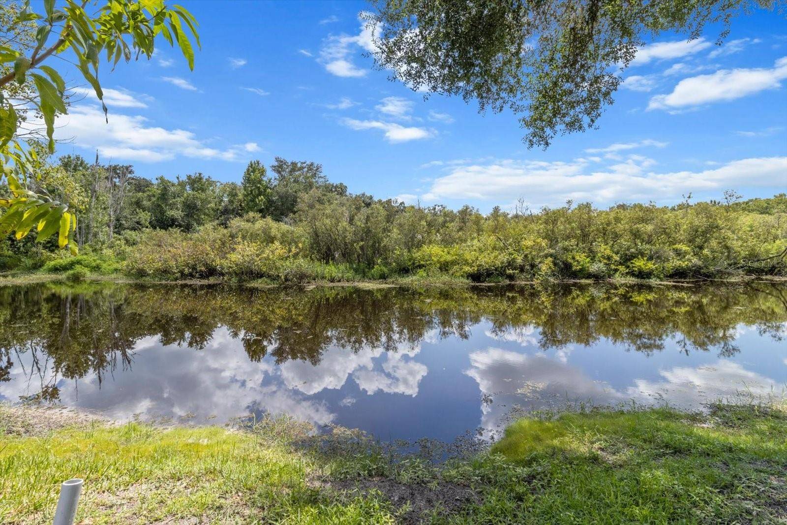 Floral City, FL 34436,11770 E WARMOUTH CT