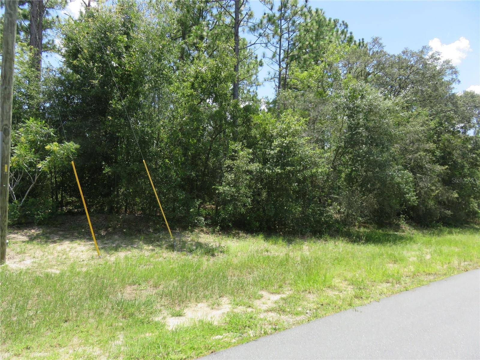 Ocala, FL 34473,00 SW 132ND PL