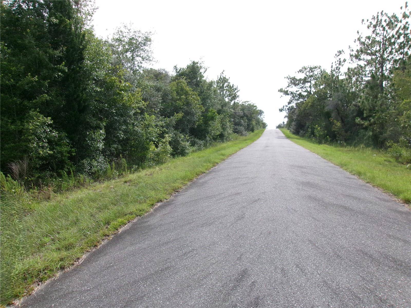 Dunnellon, FL 34431,Lot 3 SW NECTARINE LN