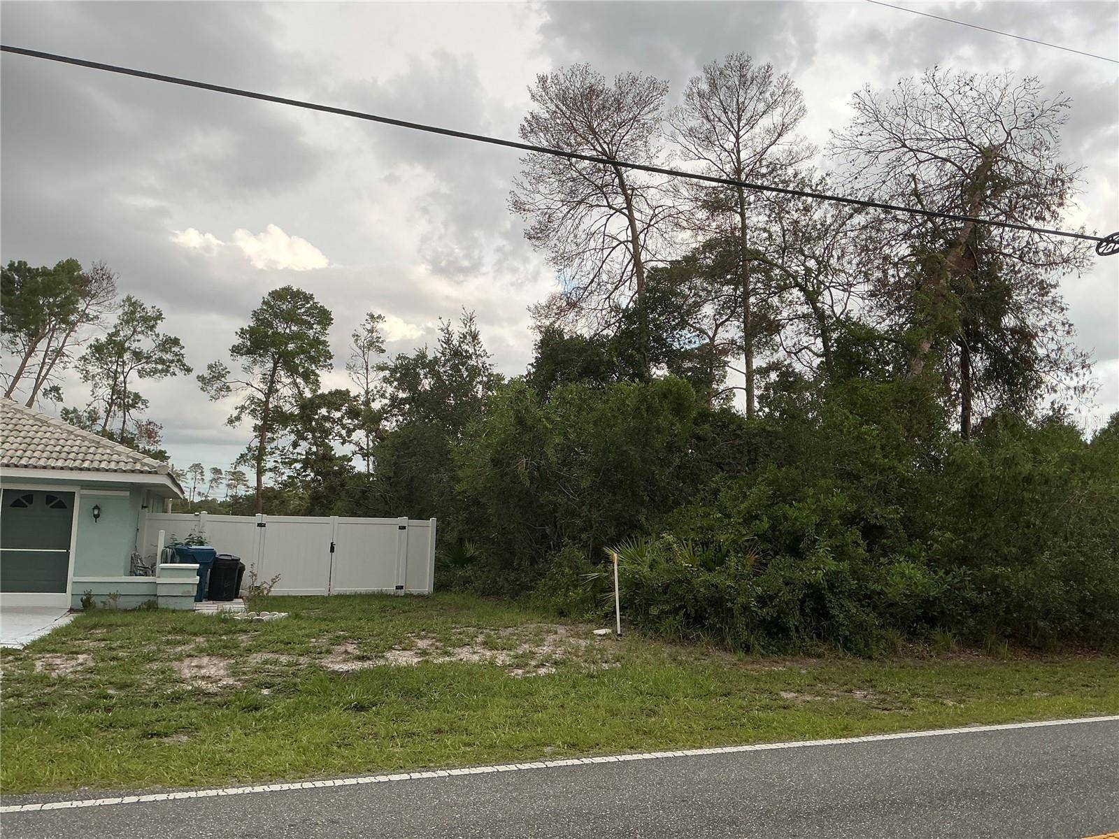 Weeki Wachee, FL 34613,10128 NODDY TERN RD