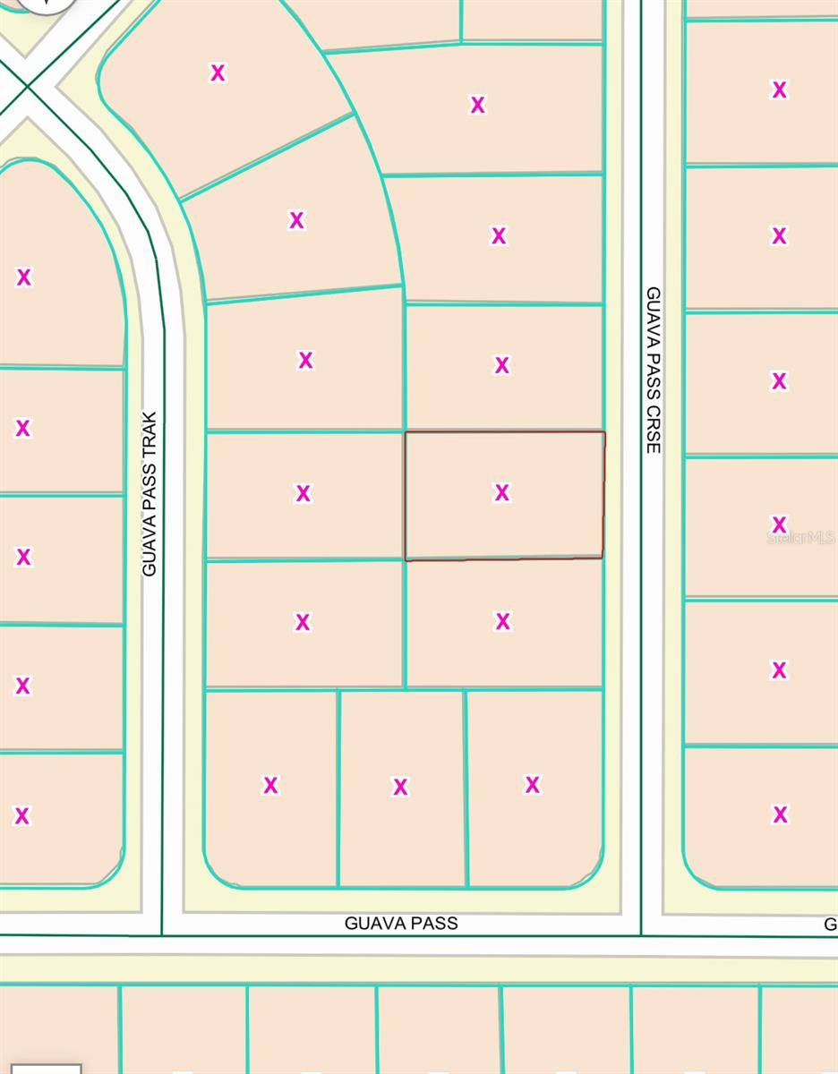 Ocklawaha, FL 32179,GUAVA PASS XING #5