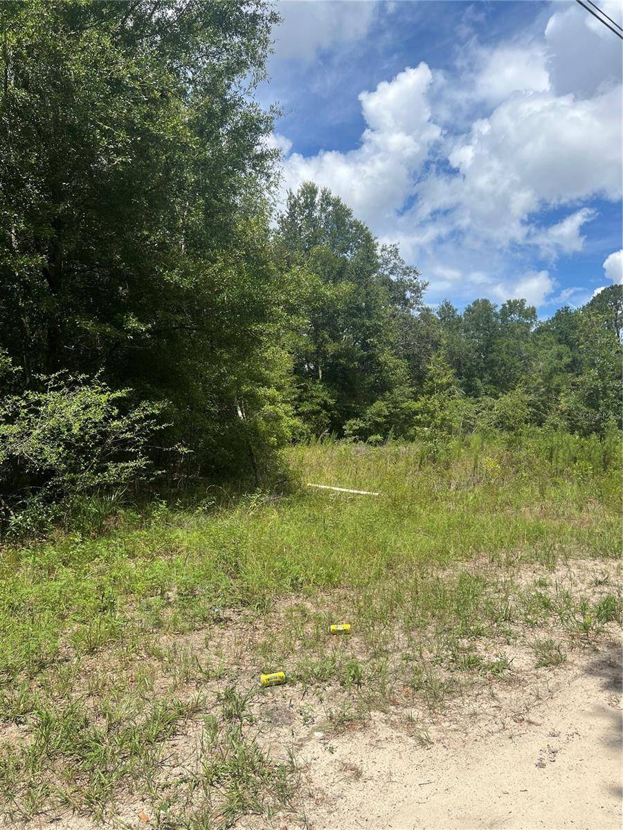 Summerfield, FL 34491,SE 42ND TERRACE