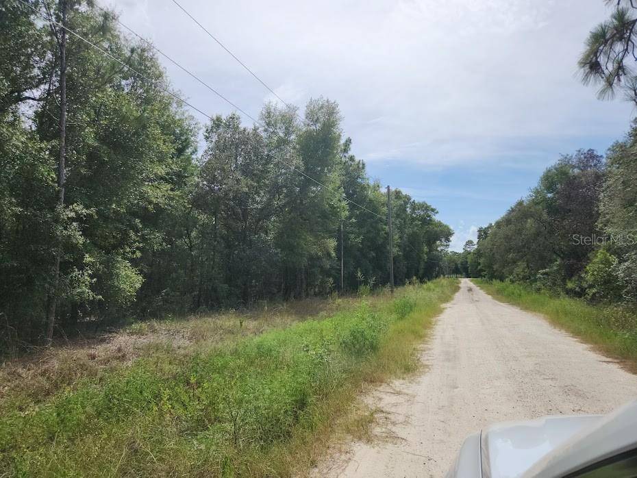 Dunnellon, FL 34432,LOT 12 SW 96TH LN