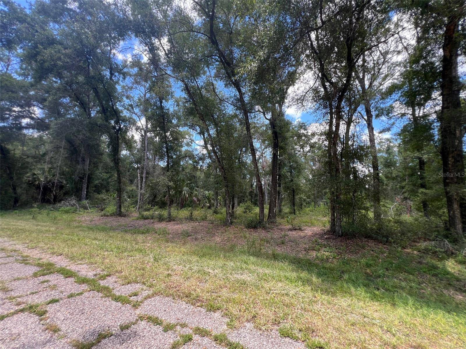 Dunnellon, FL 34434,1628 E DERBY DR