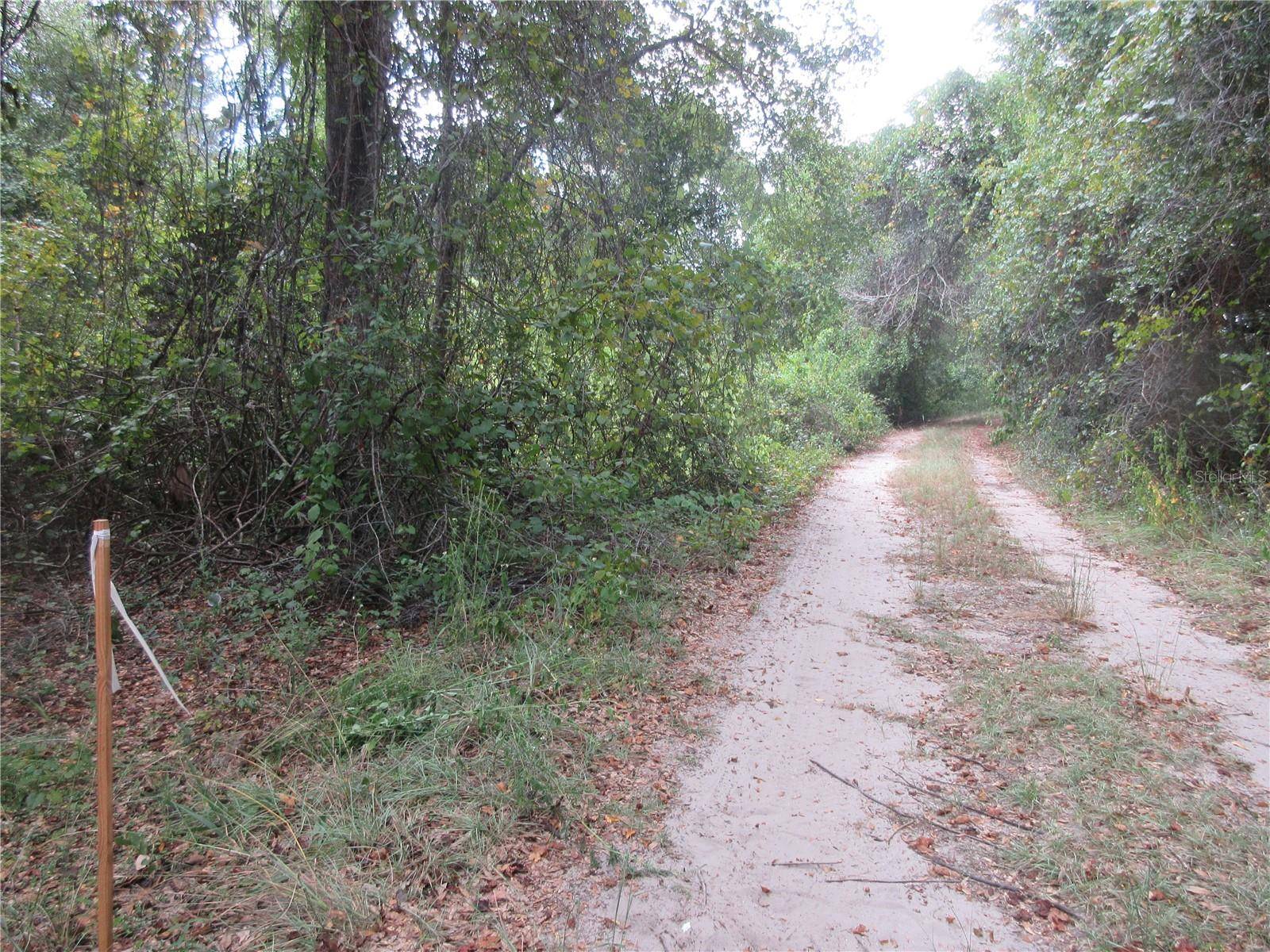 Silver Springs, FL 34488,SE 1 LN