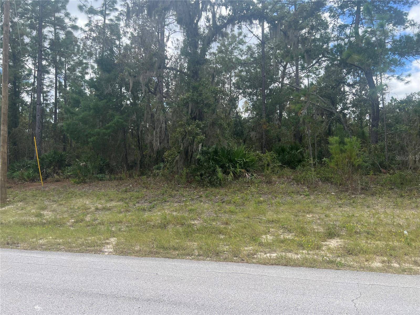Ocala, FL 34473,00 SW 146 LANE RD