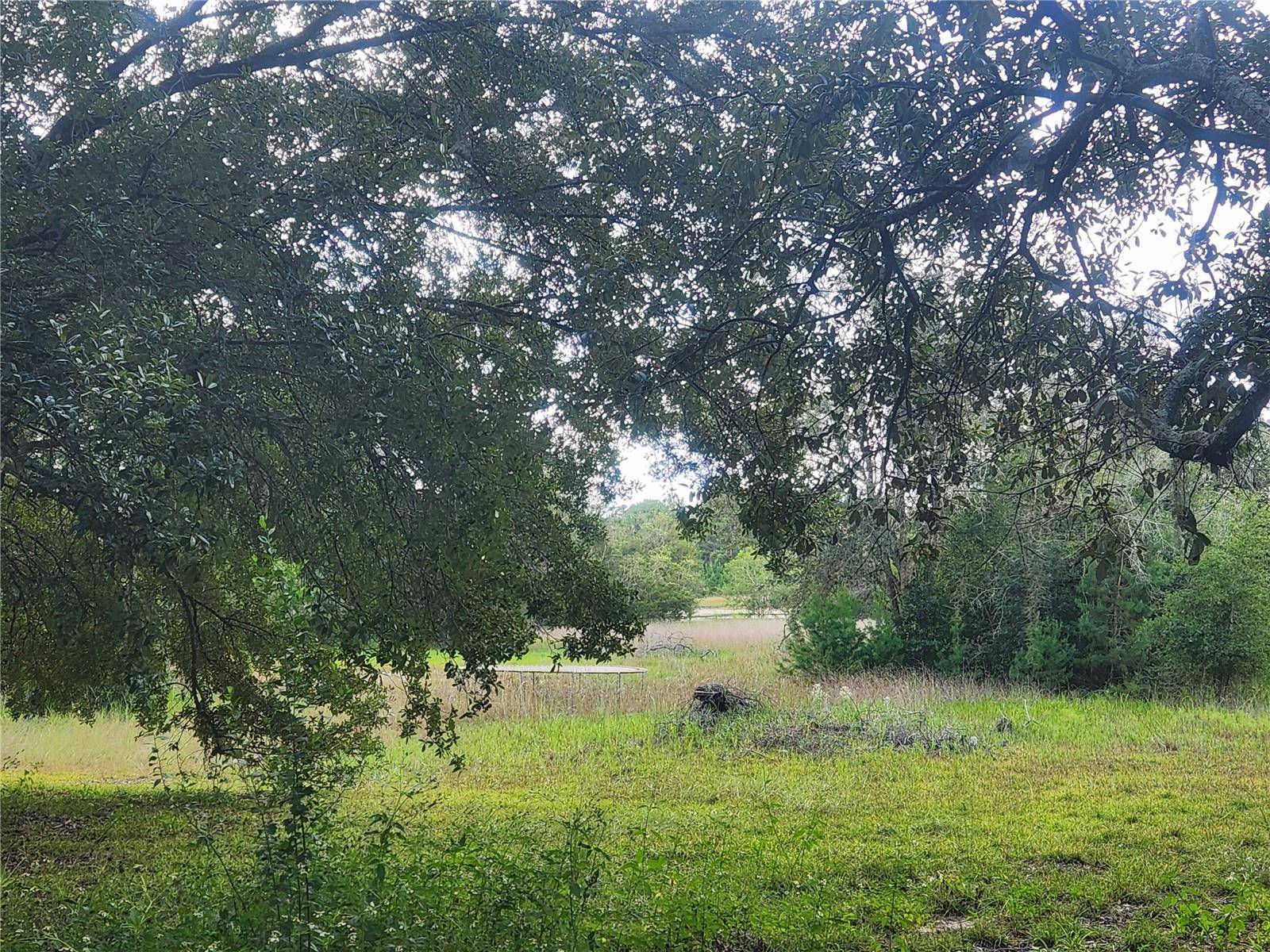 Melrose, FL 32666,217 LAKEVIEW DR