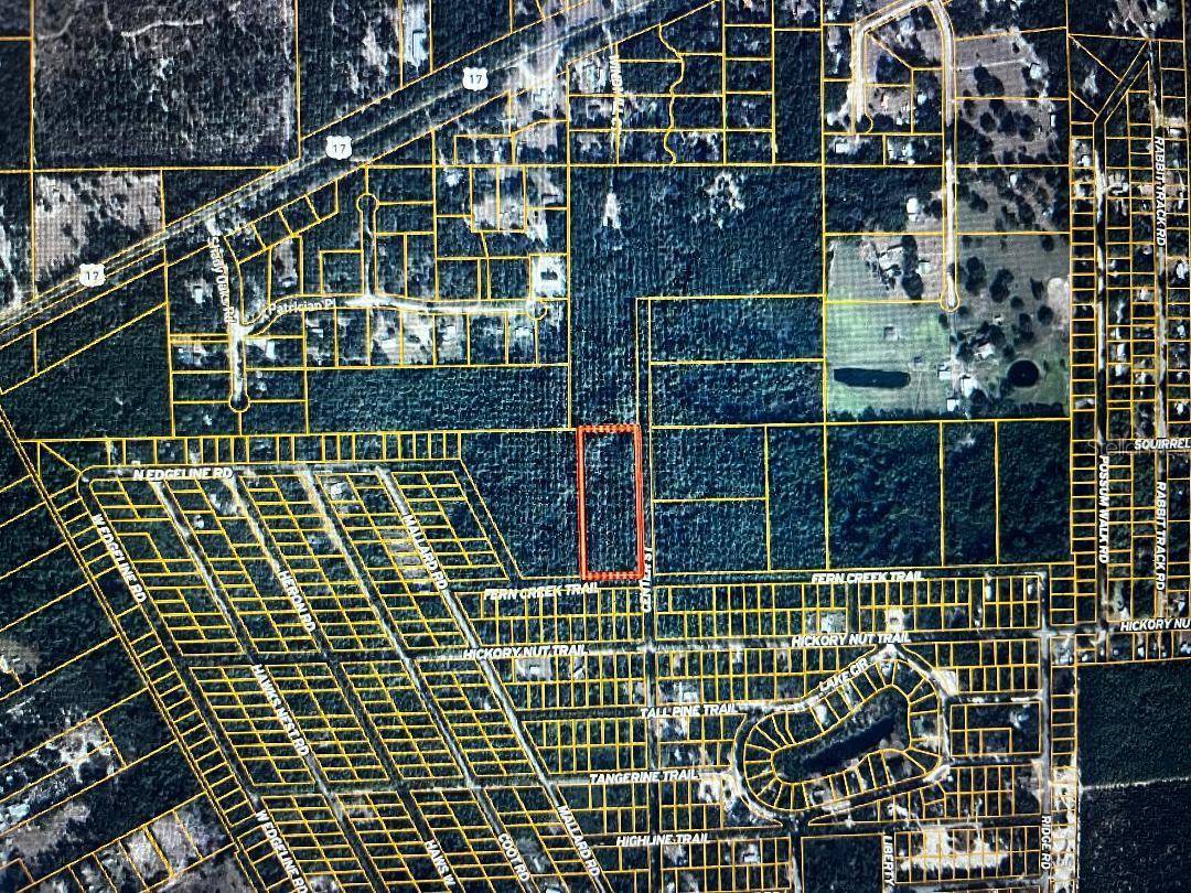 Satsuma, FL 32189,FERN CREEK TRAIL