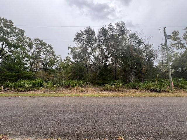 Ocklawaha, FL 32179,TBD GUAVA PLACE - LOT 3 DR