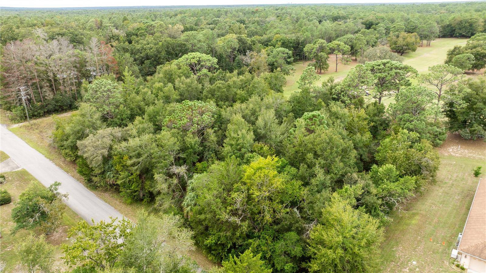 Dunnellon, FL 34431,00 SW 204 TH CT