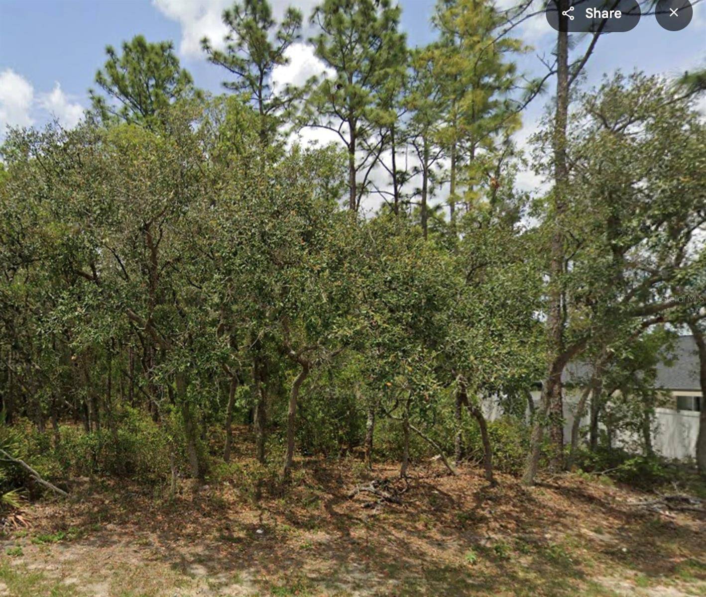 Ocala, FL 34473,Lot 2 SW 144TH LN