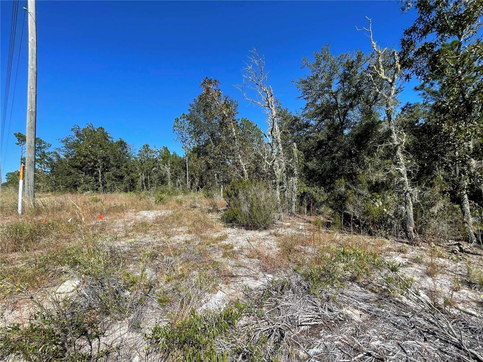 Bronson, FL 32621,TBD NE HIGHWAY 27 ALT