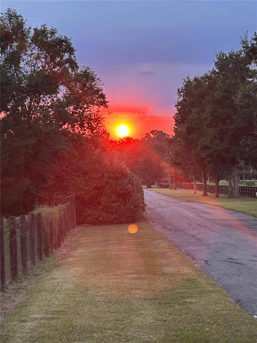 Morriston, FL 32668,7505 NW 137TH AVE