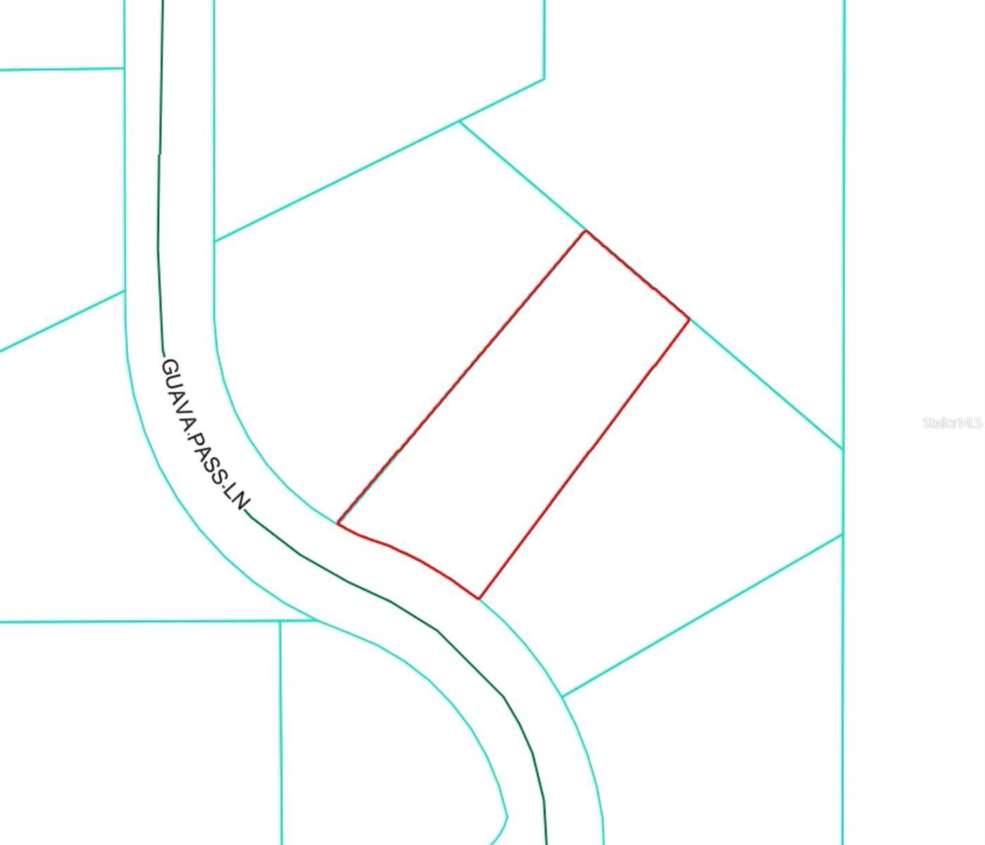 Ocklawaha, FL 32179,19 GUAVA PASS LN