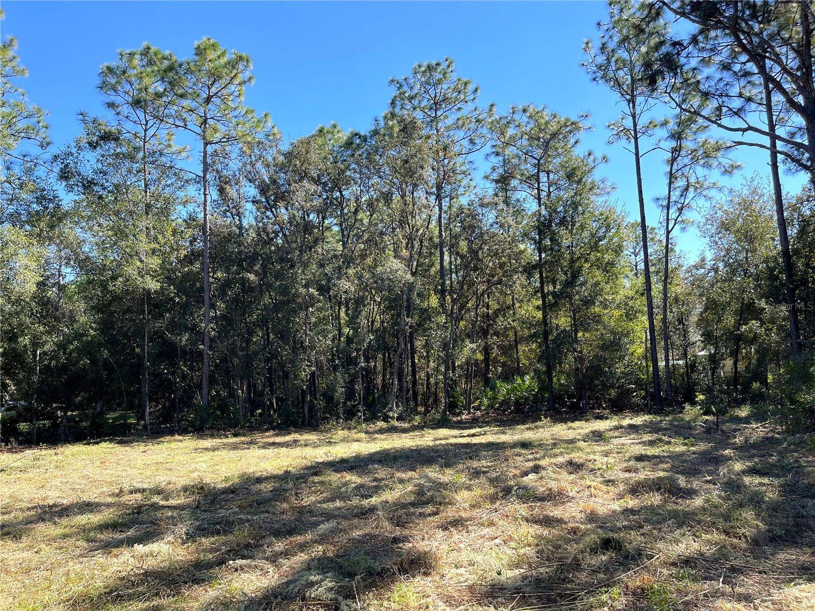 Crystal River, FL 34429,6712 W MACOPIN LN