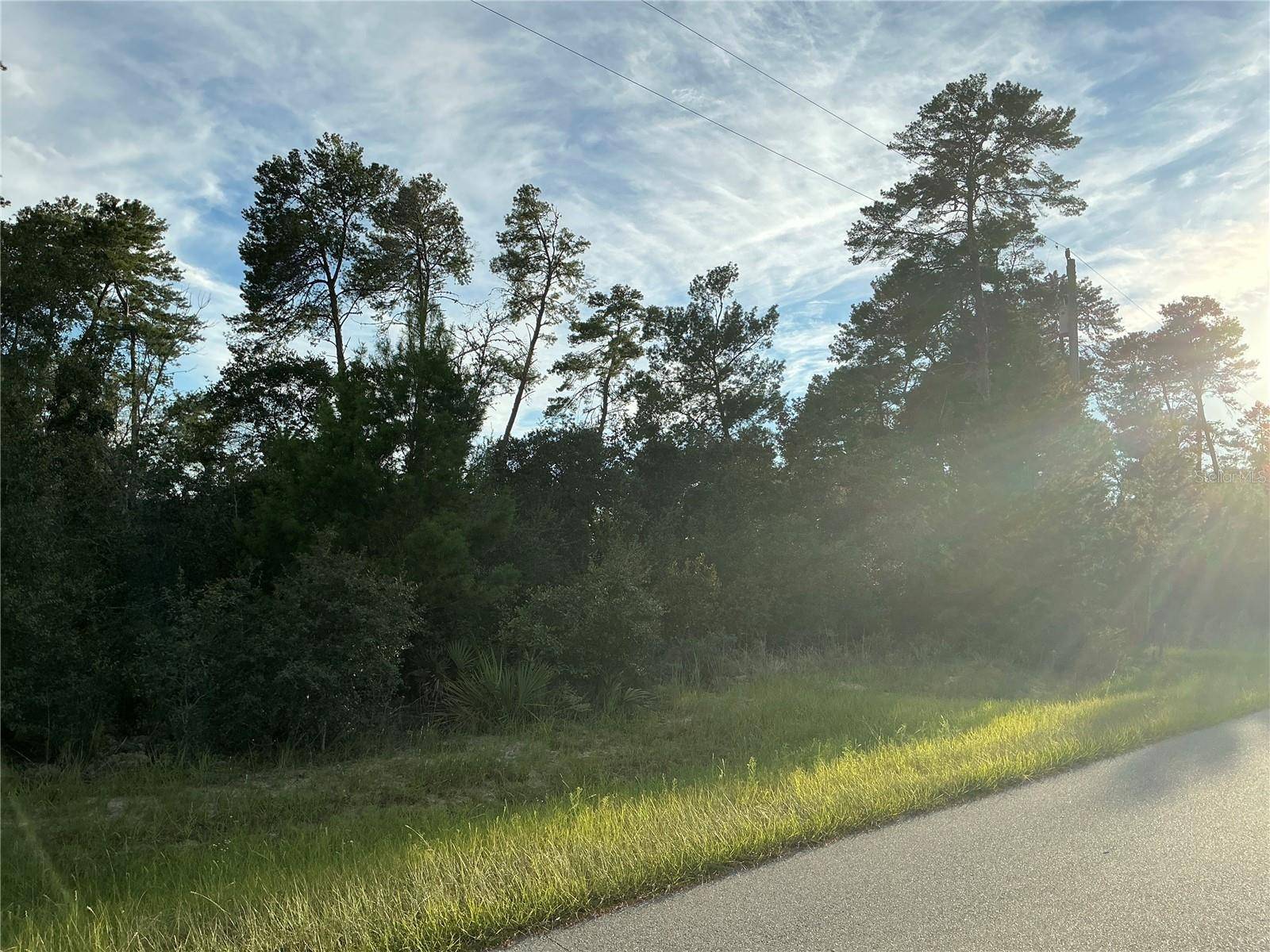 Ocala, FL 34476,0 SW 112TH ST